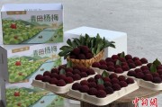 六爻预测高速赋能产业升级：一条“杨梅路”的致富密码